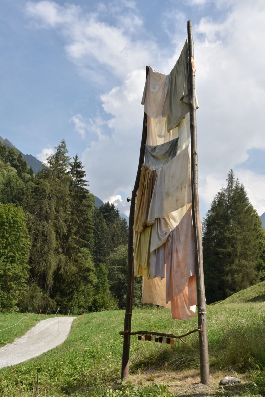 https://www.gabriellerossier.ch:443/files/gimgs/th-35_urticalaurea_11.jpg