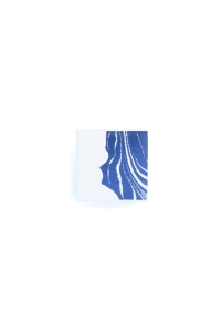 https://www.gabriellerossier.ch:443/files/gimgs/th-78_C02_MF_1010_.jpg